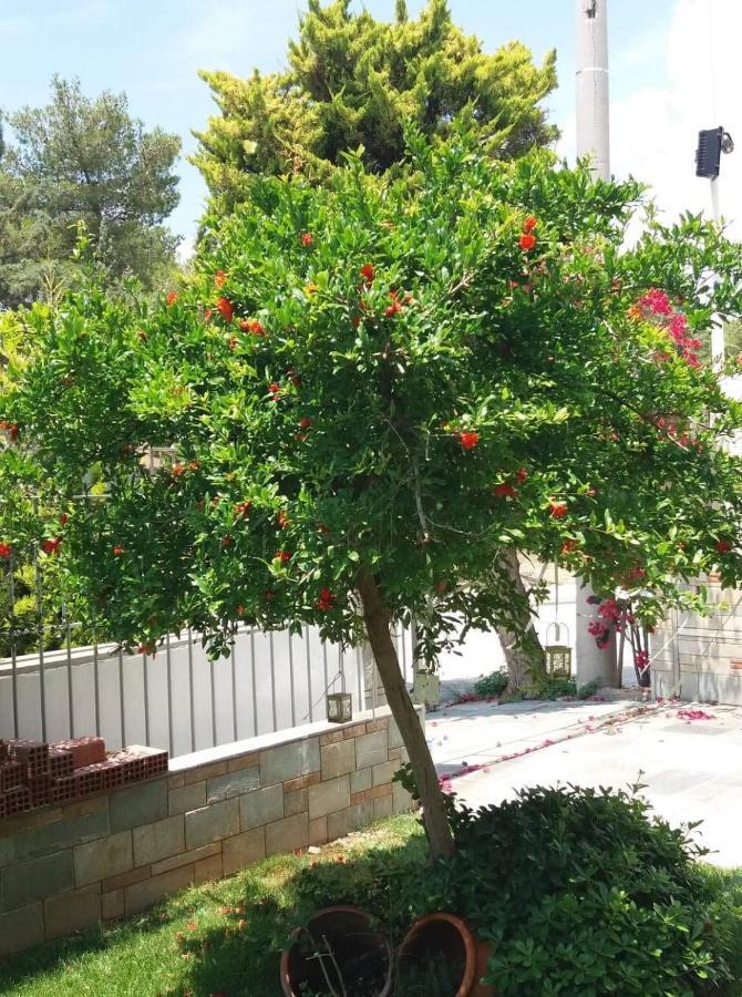 Fantastic Villa, A 5 Minute Drive From The Beach! Athena Bagian luar foto