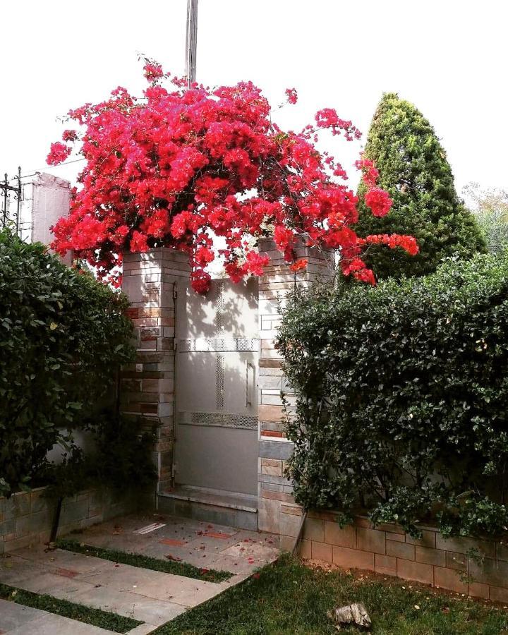Fantastic Villa, A 5 Minute Drive From The Beach! Athena Bagian luar foto